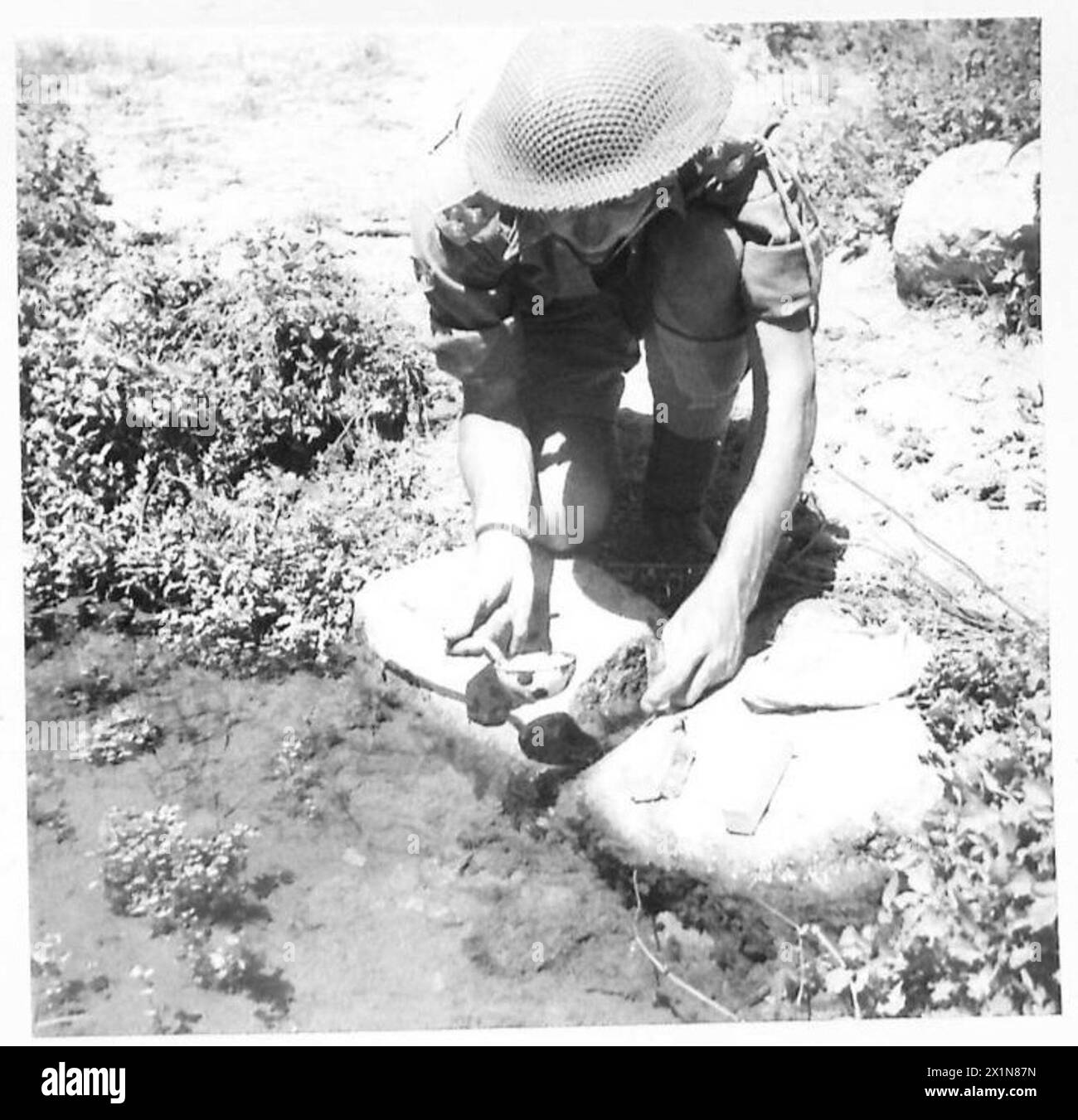 Un ufficiale ispeziona l'acqua per cercare larve di zanzara usando un mestolo come parte degli sforzi di controllo della malaria in Sicilia, British Army. Foto Stock