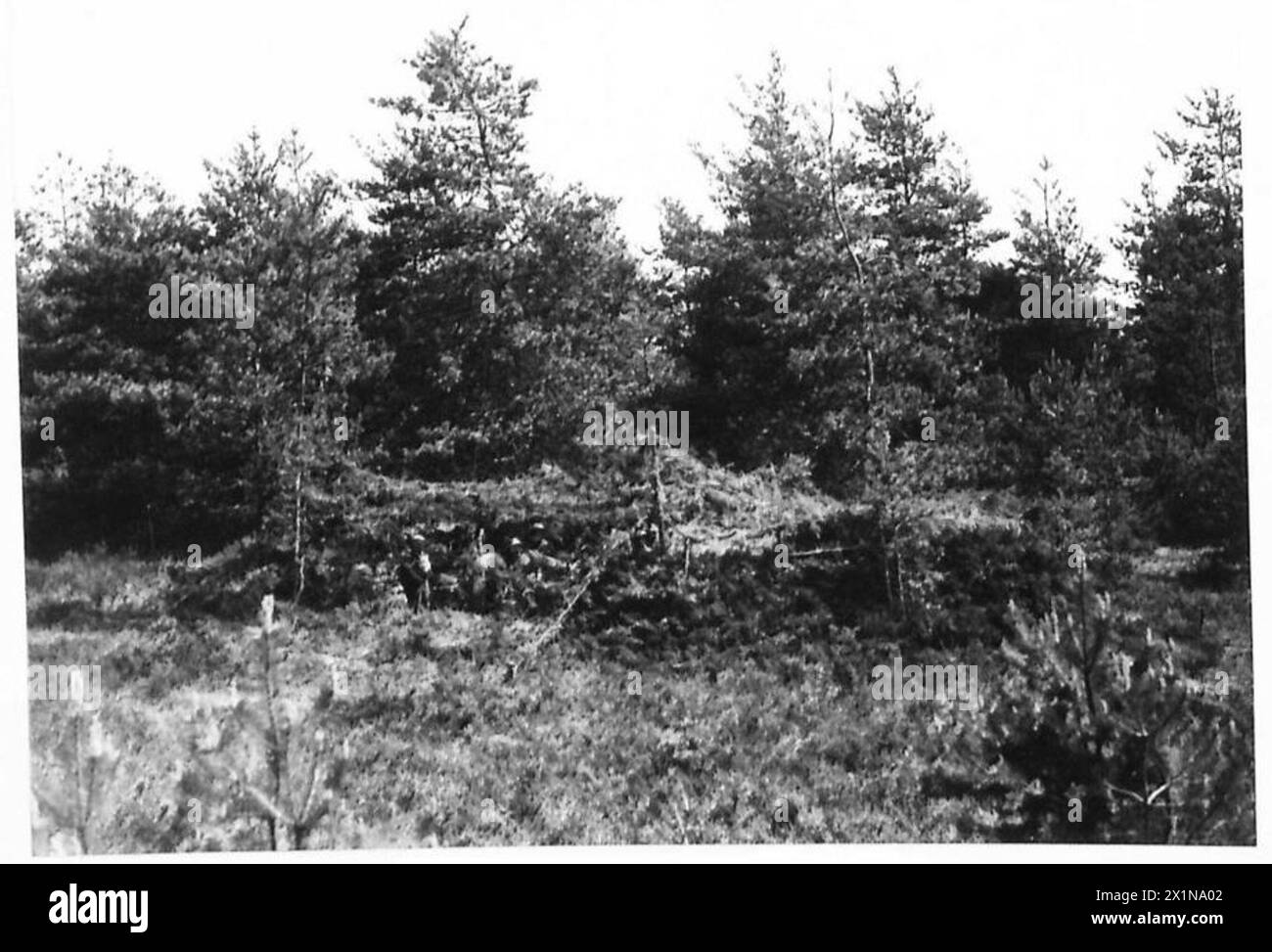 Il 24th Medium Regiment Royal Artillery conduce addestramento in condizioni di servizio attivo, con cannoni posizionati sotto mimetizzazione sul campo. Foto Stock