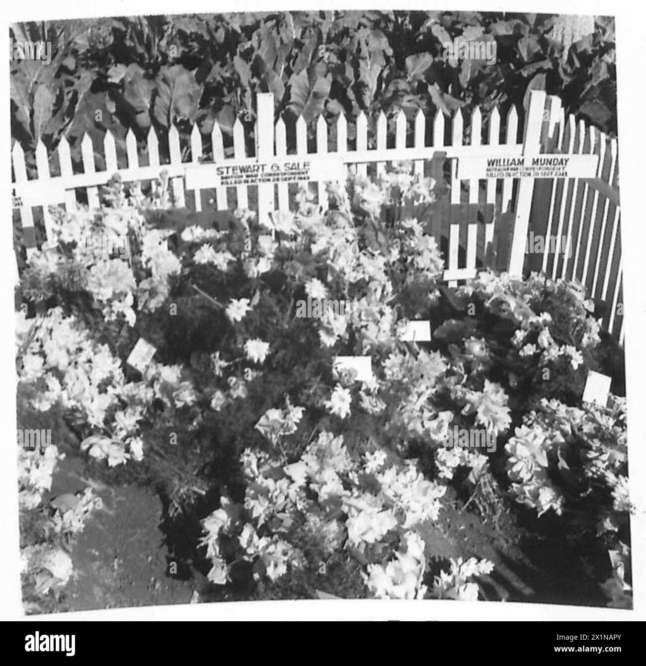 Un servizio commemorativo si svolge a Scafati presso la tomba del corrispondente di guerra Stewart G. sale di Reuters, British Army. Foto Stock