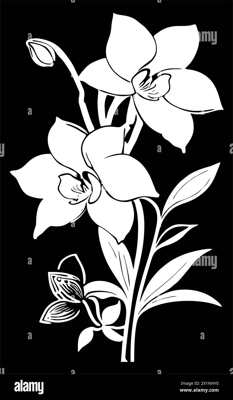 disegno lineare grafico bianco di un ramo di fiori su sfondo nero, disegno Foto Stock