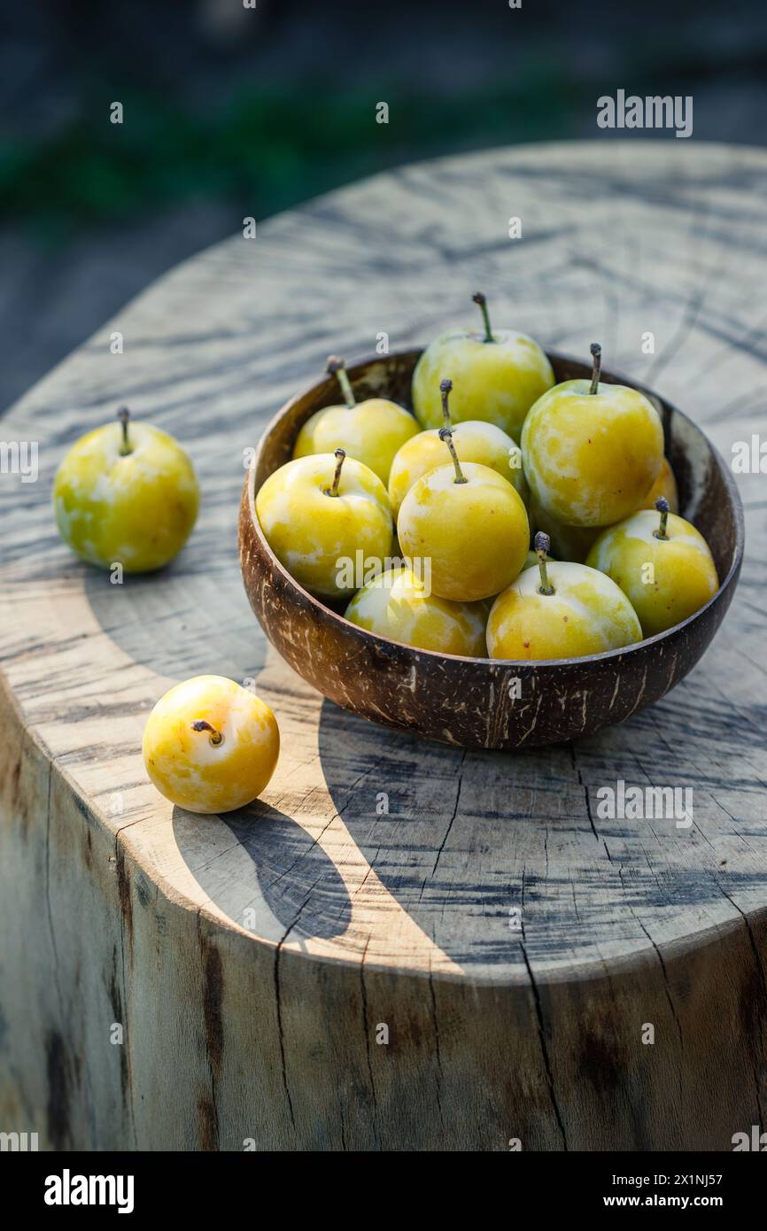 Greengage nella ciotola. Frutta fresca raccolta. Prugne verdi mature Foto Stock