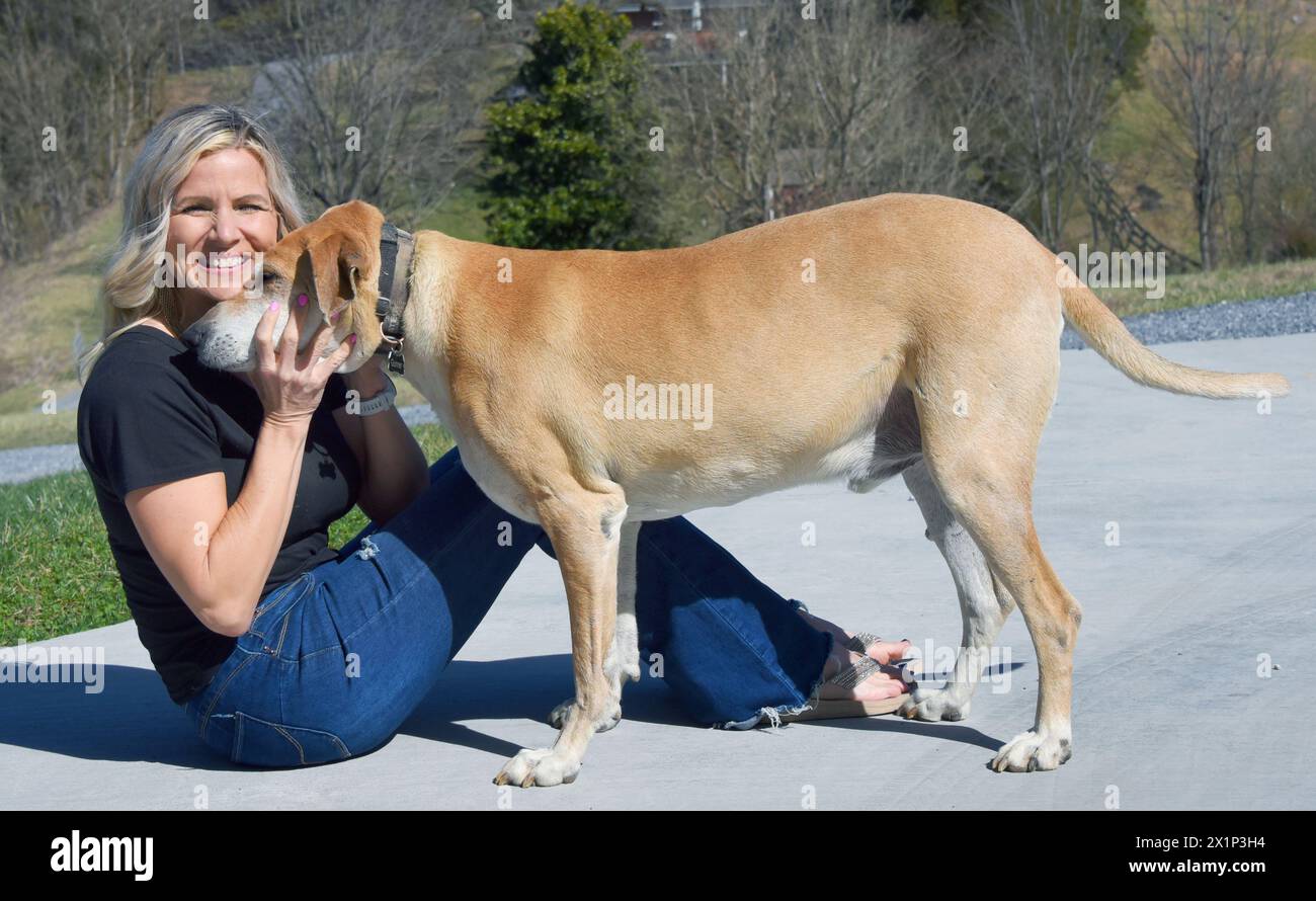 Il cane di razza mista gode della compagnia e dell'amore dei suoi padroni. Una bella donna abbraccia il cane e sorride felicemente. Foto Stock