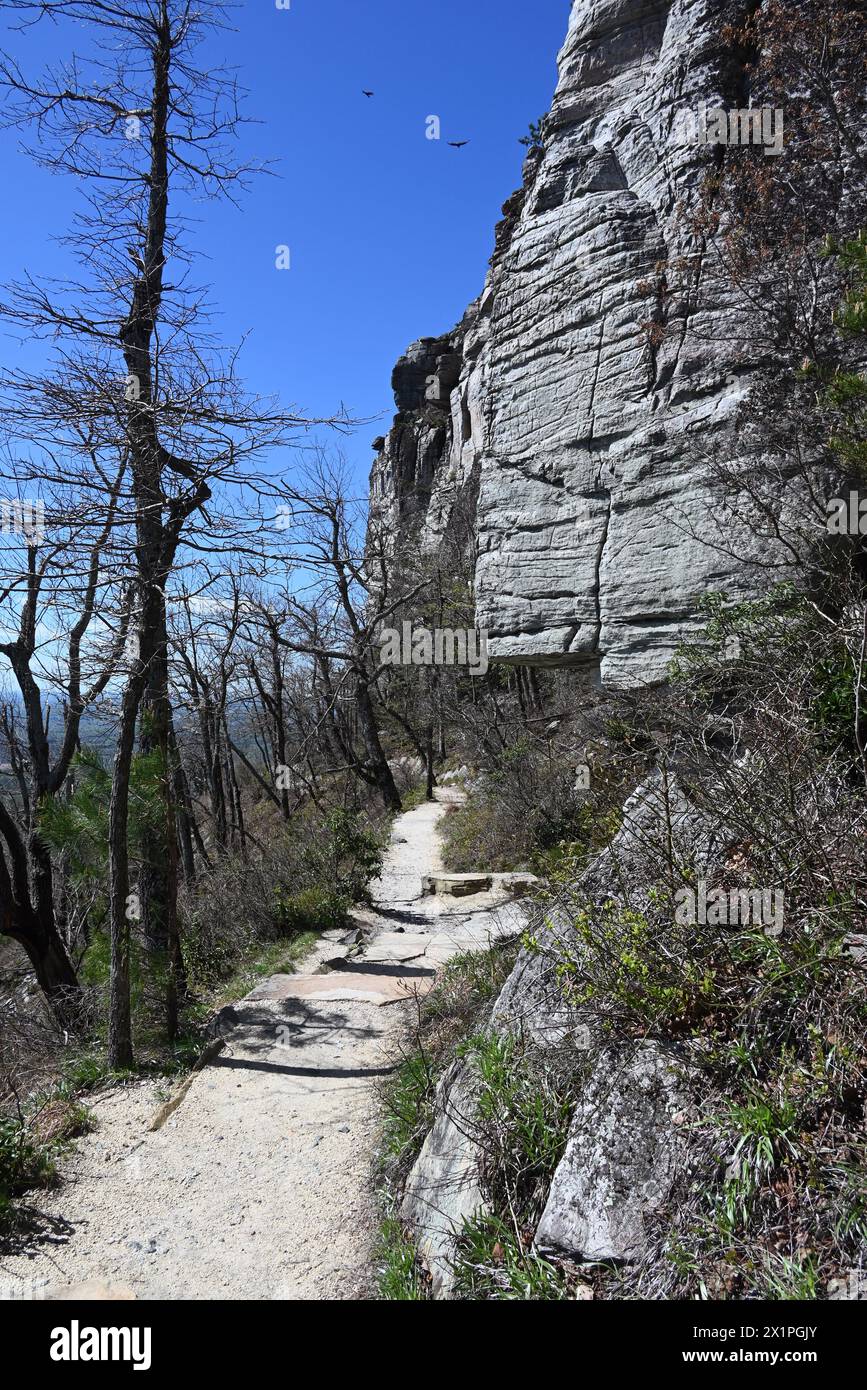 Il "Pilot Knob Trail" intorno al pinnacolo del Pilot Mountain State Park nel North Carolina. Foto Stock