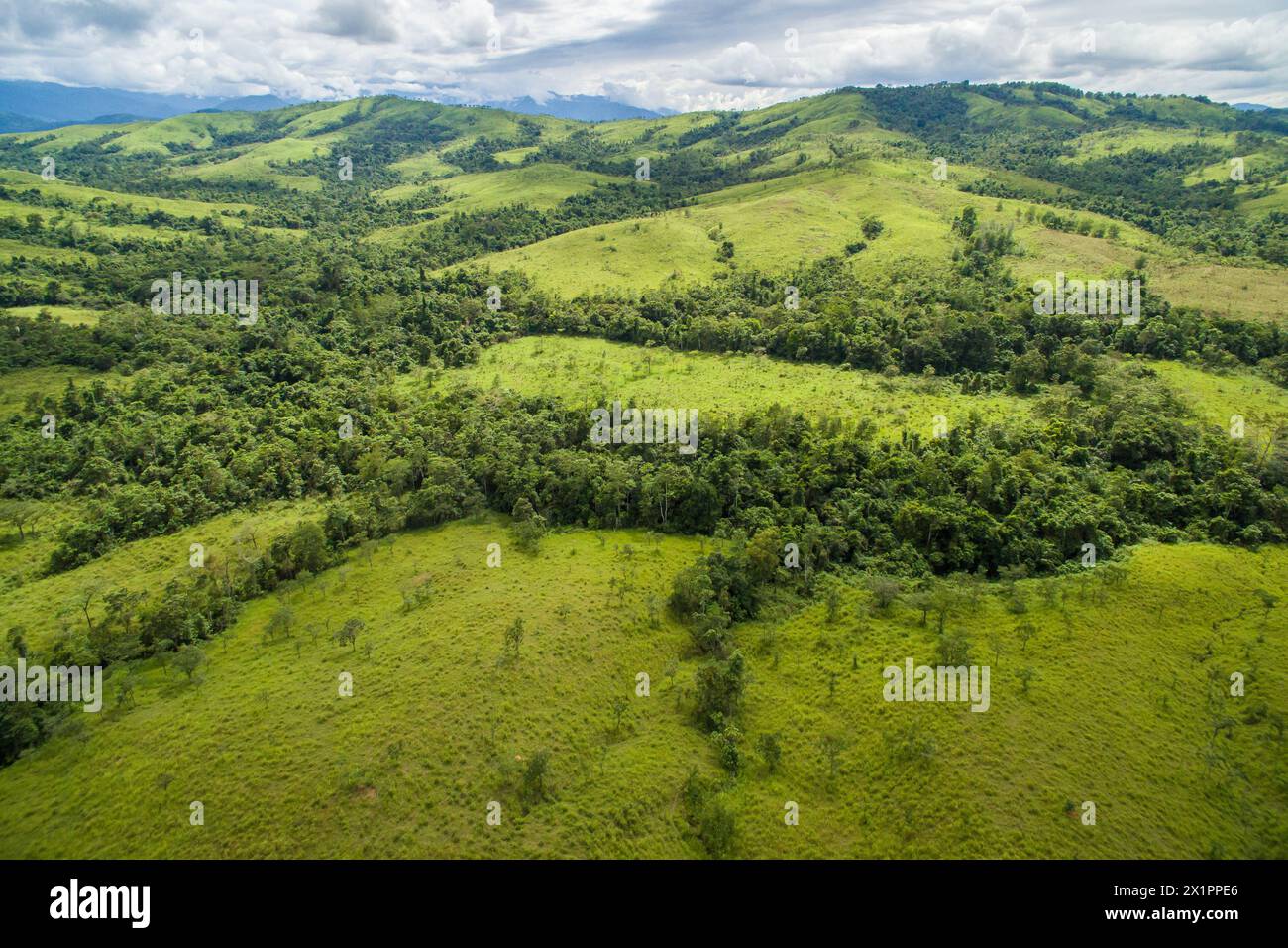 Splendida vista aerea della giungla del Borneo Foto Stock
