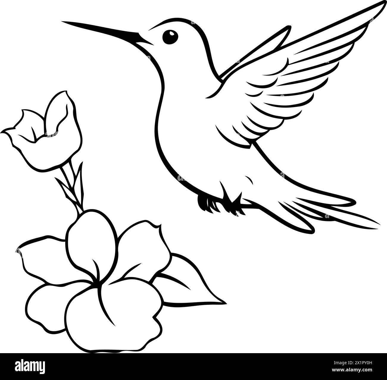 Colibrì con fiore. Illustrazione vettoriale di un uccello con un fiore. Illustrazione Vettoriale