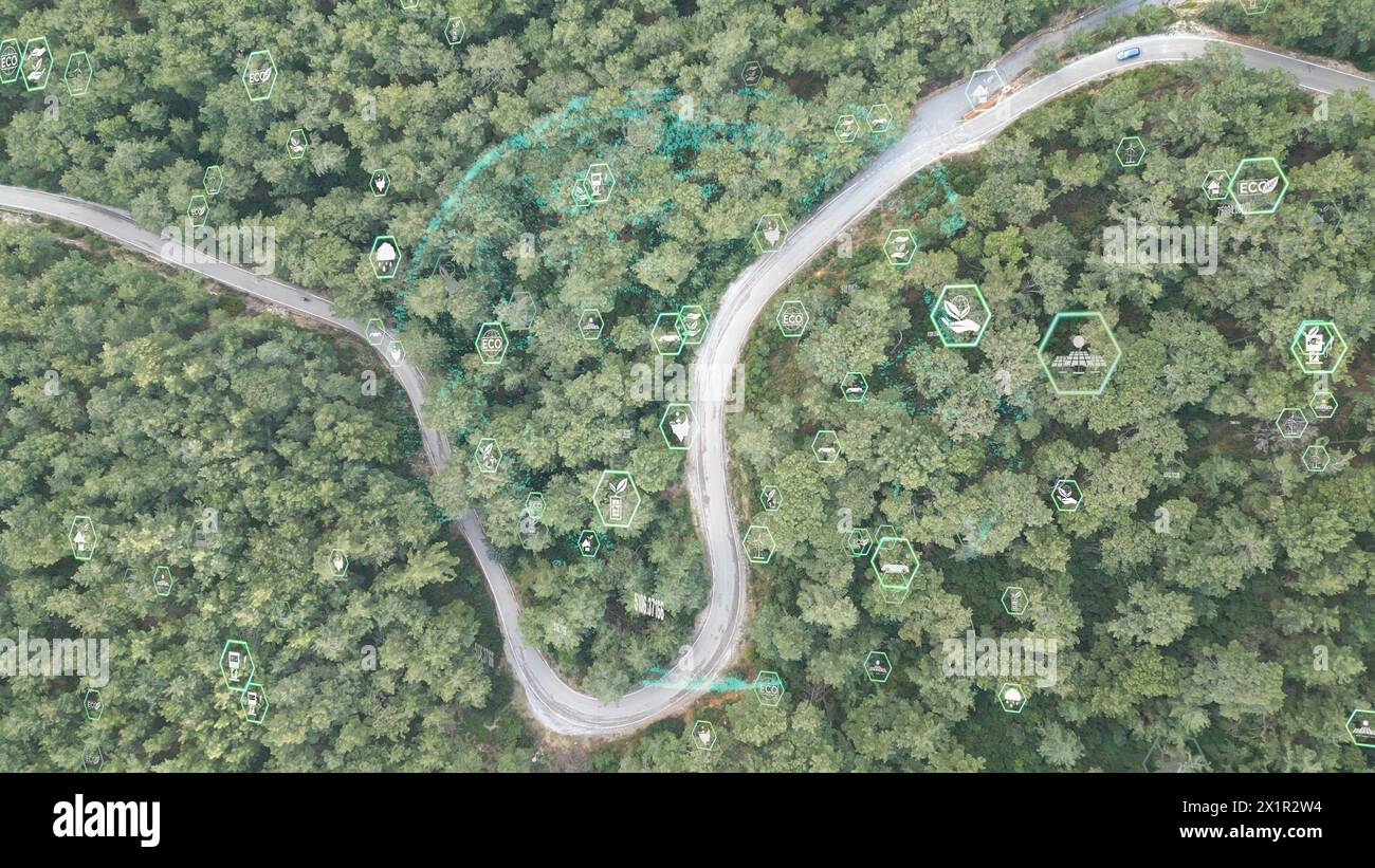 Vista aerea della foresta verde e concetto di tecnologia ambientale. Tecnologia verde. Ecologia. Trasformazione verde. GX. SDG. Video 4K di alta qualità Foto Stock