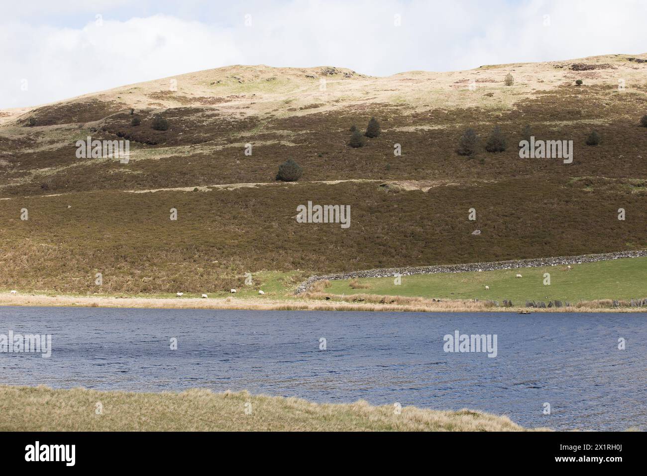 Lago Llyn Yr Oerfel Foto Stock