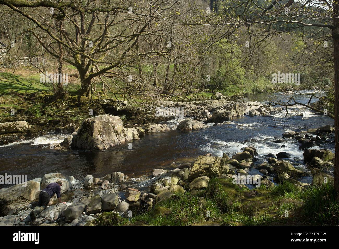 Rhaeadr DDU e Coed Ganllwyd Walk River Gamlan Foto Stock