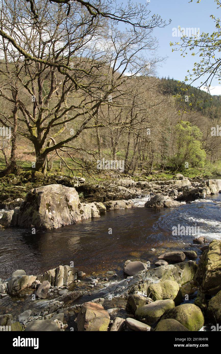 Rhaeadr DDU e Coed Ganllwyd Walk River Gamlan Foto Stock