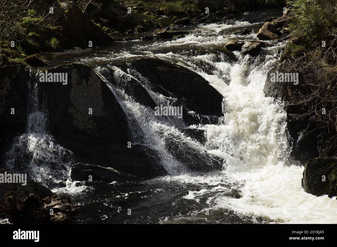 Rhaeadr DDU e Coed Ganllwyd Walk River Gamlan Foto Stock