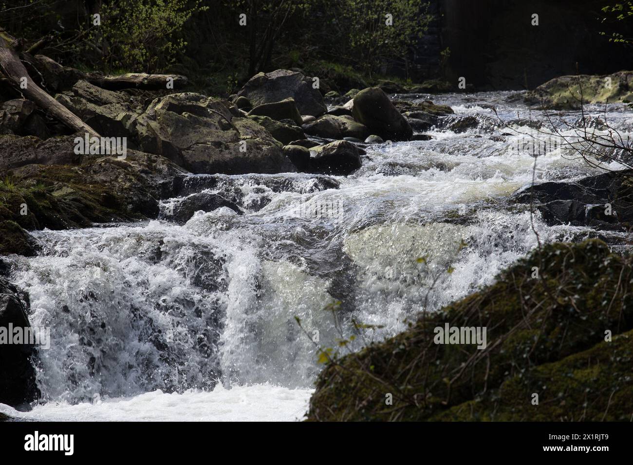 Rhaeadr DDU e Coed Ganllwyd Walk River Gamlan Foto Stock