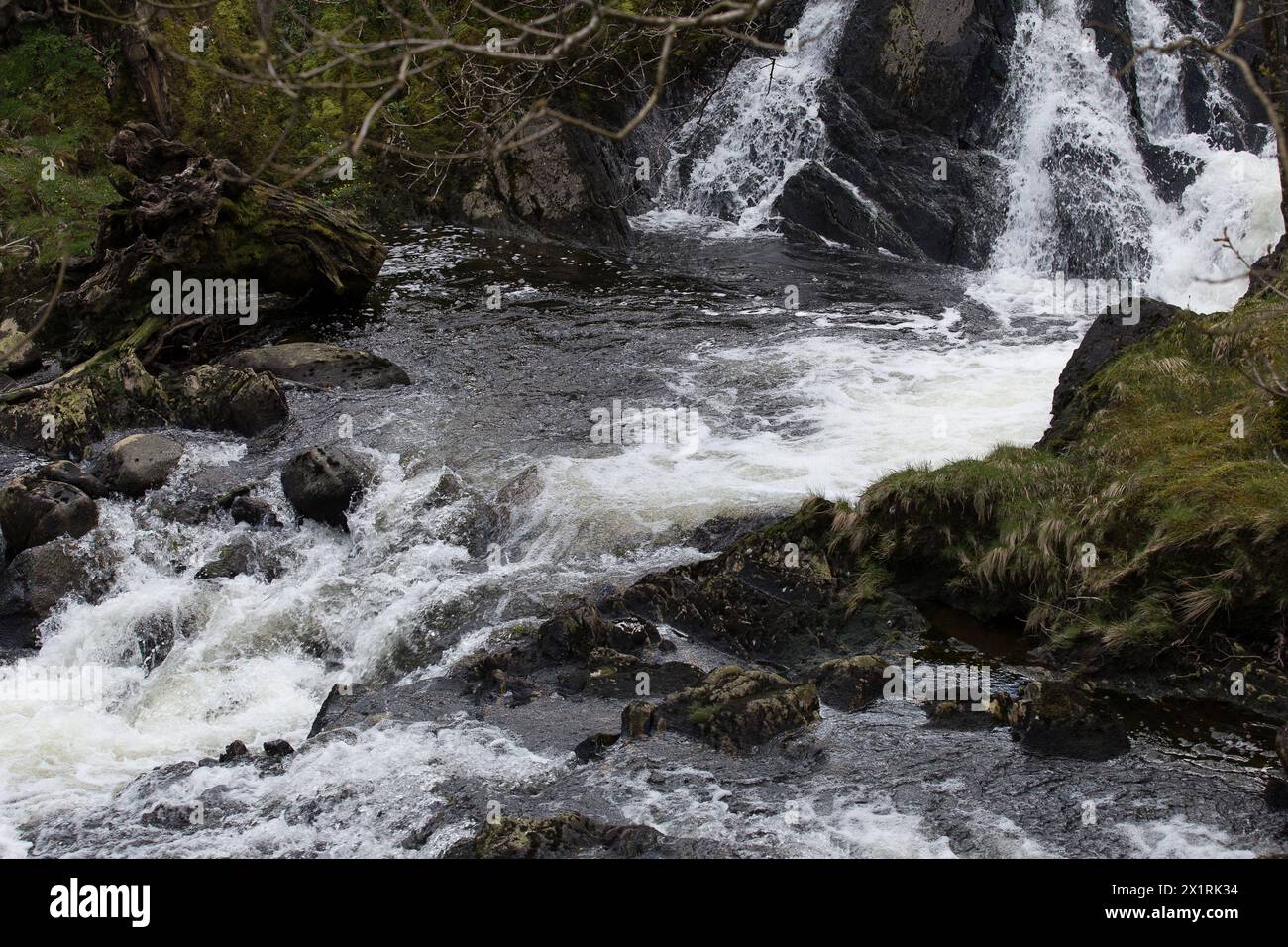 Rhaeadr DDU e Coed Ganllwyd Walk River Gamlan Foto Stock