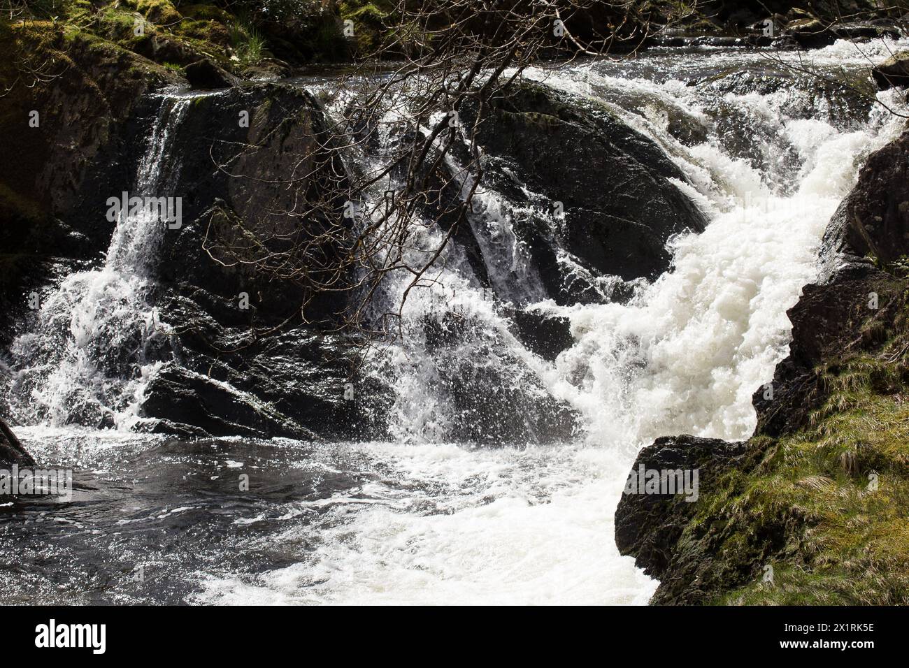 Rhaeadr DDU e Coed Ganllwyd Walk River Gamlan Foto Stock