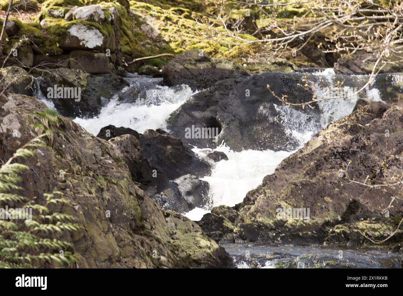 Rhaeadr DDU e Coed Ganllwyd Walk River Gamlan Foto Stock