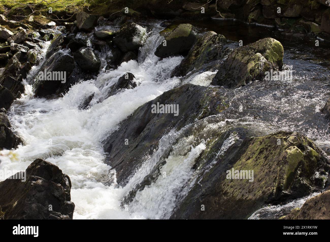 Rhaeadr DDU e Coed Ganllwyd Walk River Gamlan Foto Stock