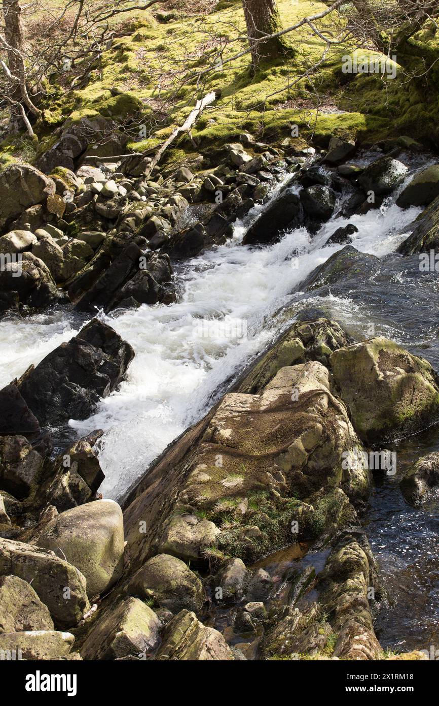 Rhaeadr DDU e Coed Ganllwyd Walk River Gamlan Foto Stock