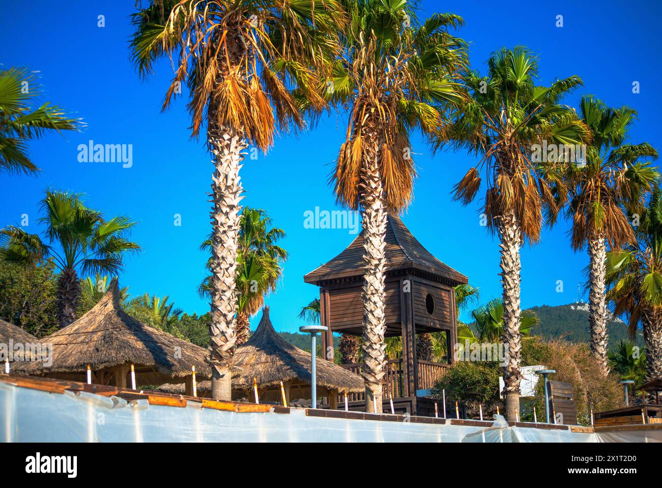 Sperimentate la fusione di bellezza tropicale e cultura tribale sotto le palme su una spiaggia soleggiata con tradizionali case tribali. Foto Stock