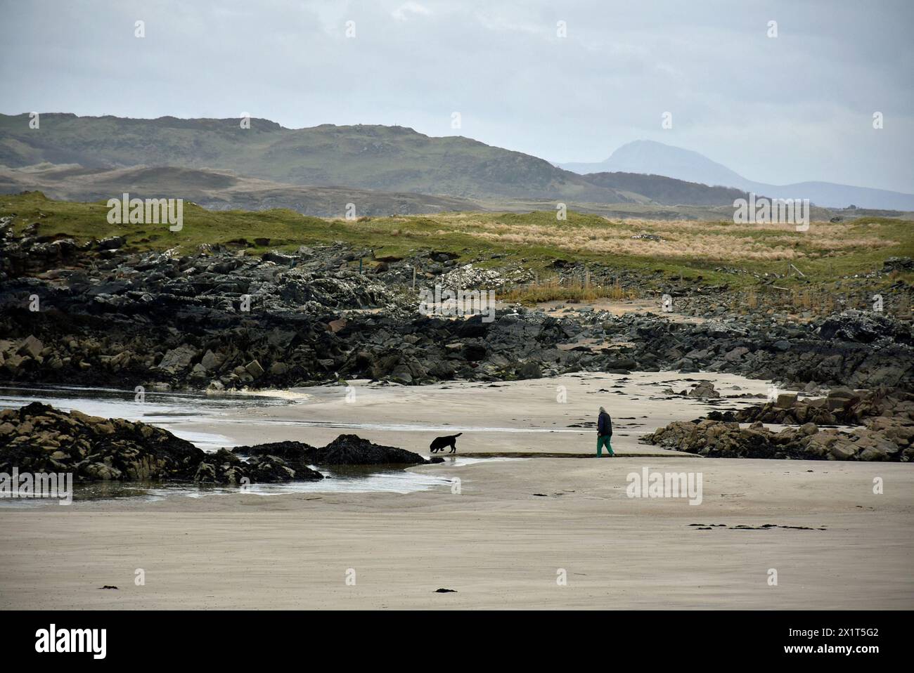 Uomo sulla spiaggia con un cane. Soli nella natura su una spiaggia deserta ad Ardara, Contea di Donegal, Irlanda. Foto Stock