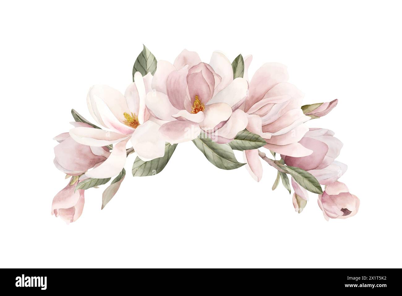 Fiori di magnolia rosa chiaro, gemme, rametti e foglie. Illustrazione ad acquerello floreale dipinta a mano isolata su sfondo bianco. Composizione della molla Foto Stock