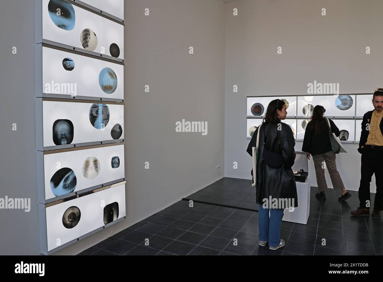 Venezia, Italia. 17 aprile 2024. La 60° Mostra Internazionale d'Arte intitolata "stranieri ovunque", curata da Adriano Pedrosa, sarà aperta al pubblico da sabato 20 aprile a domenica 24 novembre nella foto: Austria Pavilion Credit: Independent Photo Agency/Alamy Live News Foto Stock