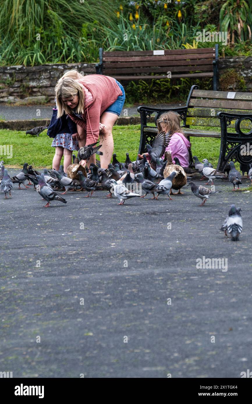 Una madre e i suoi due figli danno da mangiare ai piccioni selvatici Columba livia domestica in un parco in Inghilterra nel Regno Unito. Foto Stock