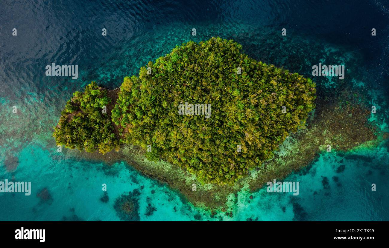 Ariel, isola tropicale e oceano all'aperto, alberi e natura viaggiano per l'avventura del pianeta. Sopra la vista, Raja Ampat e la giungla in Indonesia per Foto Stock