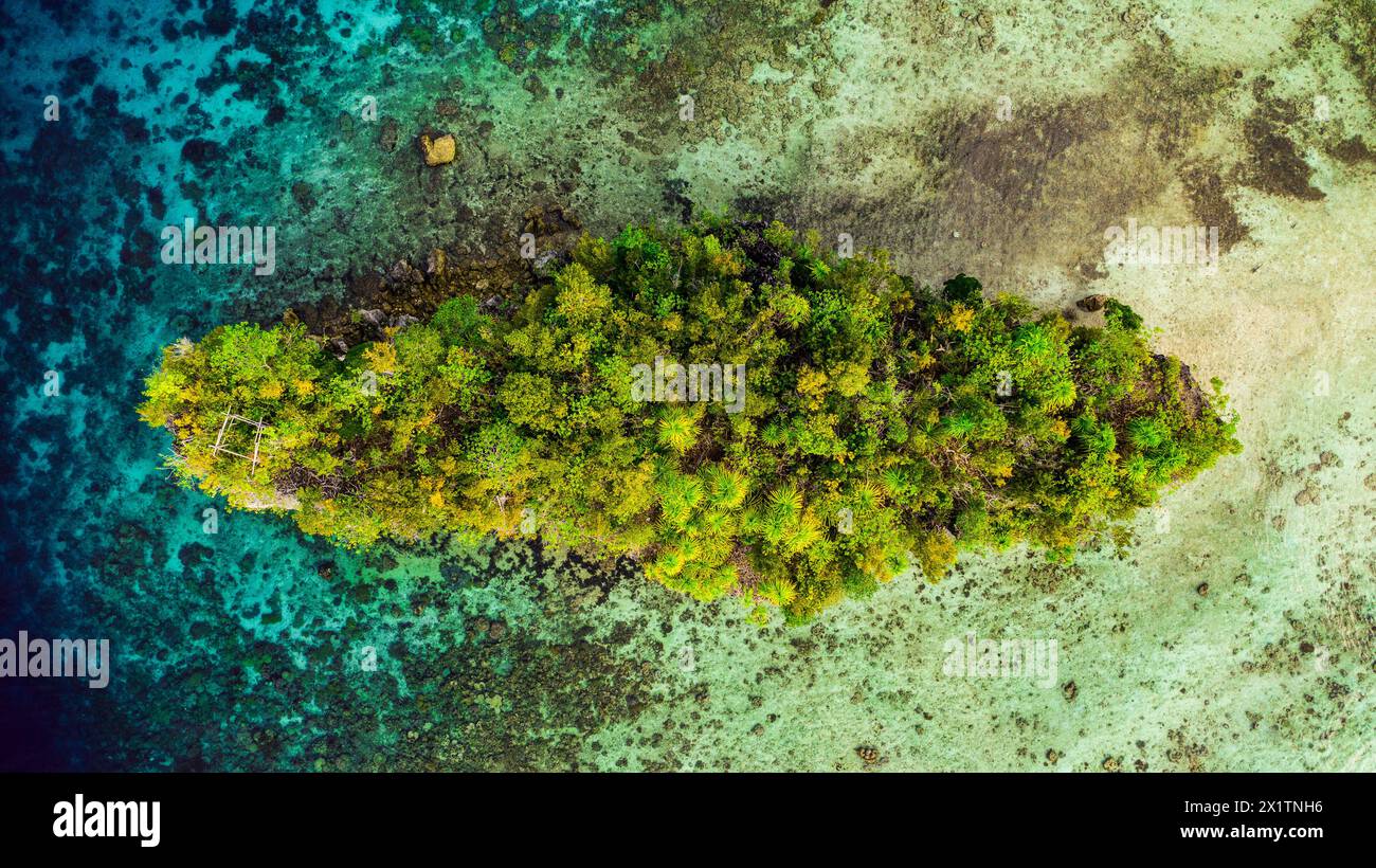 Drone, isola tropicale e oceano all'aperto, foresta e natura viaggiano per l'avventura del pianeta. Vista aerea, Raja Ampat e giungla in Indonesia per Foto Stock