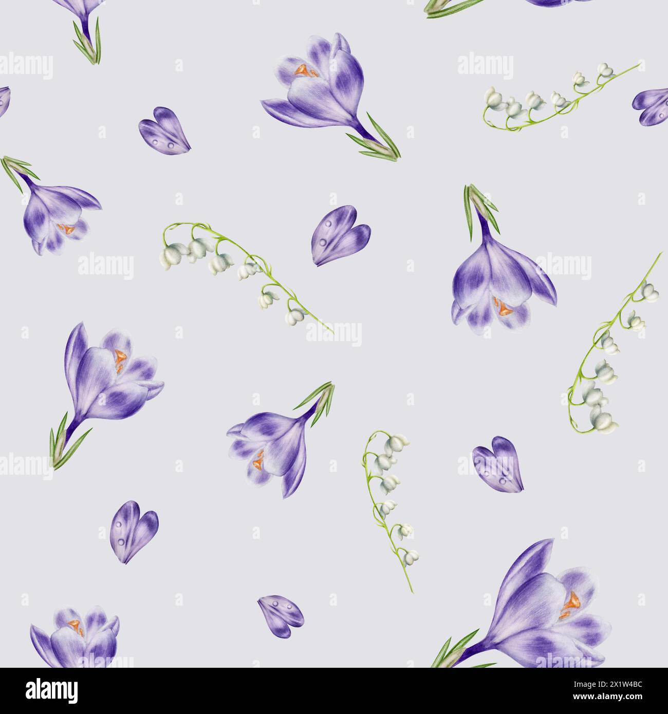 Acquerello senza cuciture con bouquet di croco in fiore viola e gigli dei fiori della valle e isolato sullo sfondo. Primavera e pasqua bota Foto Stock
