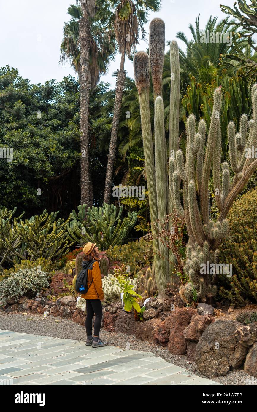 Donna turistica con cappello che si gode e passeggiando in un giardino botanico tropicale con molti capti Foto Stock