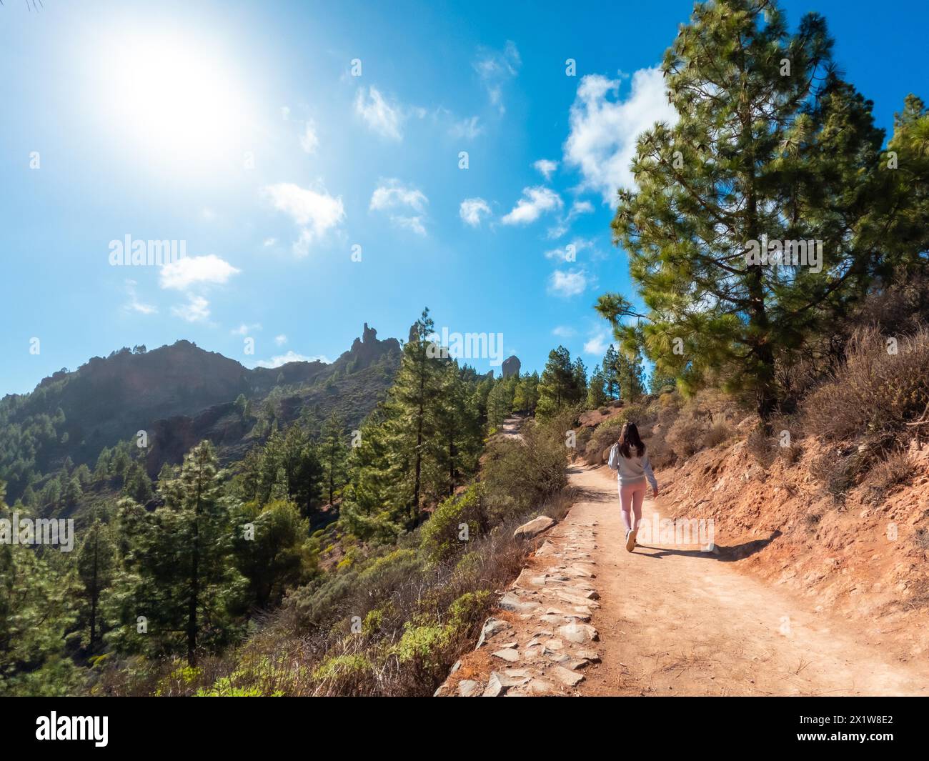 Una donna sta camminando su un sentiero sterrato in una foresta. Il cielo è blu e il sole splende Foto Stock
