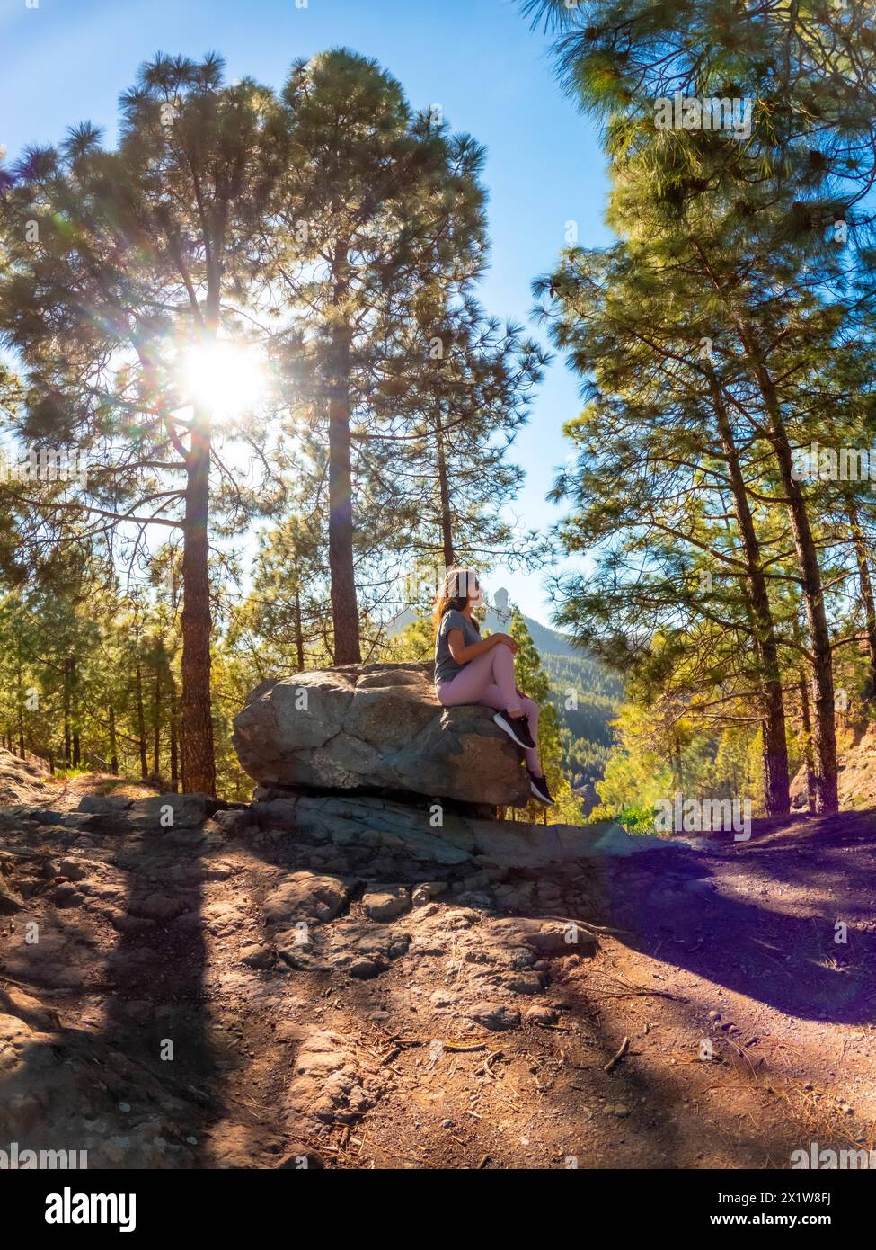 Una donna siede su una roccia in una foresta. Il sole splende su di lei, creando un'atmosfera calda e tranquilla Foto Stock
