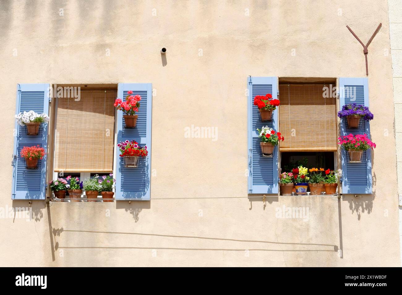 Marsiglia, soleggiato muro con persiane blu e scatole di fiori colorate, Marsiglia, dipartimento Bouches-du-Rhone, regione Provence-Alpes-Cote Foto Stock