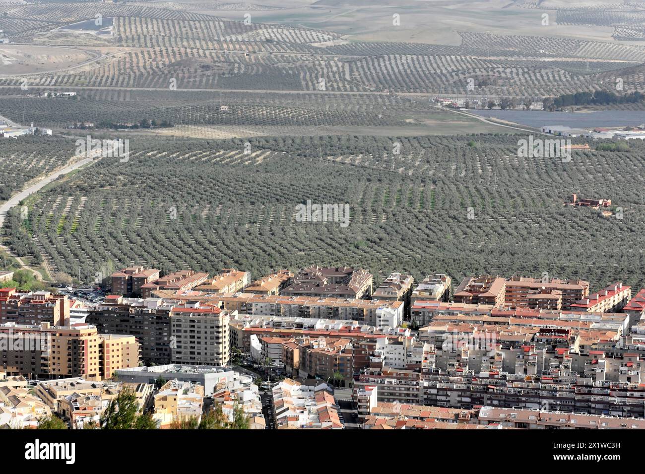 Vista dal Castillo de Santa Catalina, edifici moderni di nuova costruzione, vista parziale di Jaen, Andalusia, vista panoramica di una città con uliveti circostanti Foto Stock