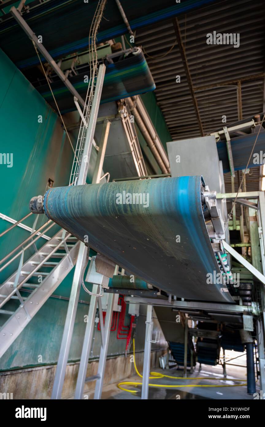 Attrezzature per la lavorazione di ortaggi freschi dopo la raccolta, lo stoccaggio, la cernita, il lavaggio, il taglio, imballaggio, agricoltura nei Paesi Bassi Foto Stock