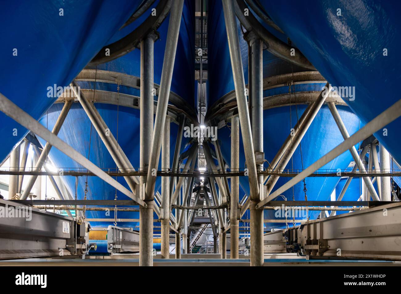 Attrezzature per la lavorazione di ortaggi freschi dopo la raccolta, lo stoccaggio, la cernita, il lavaggio, il taglio, imballaggio, agricoltura nei Paesi Bassi Foto Stock