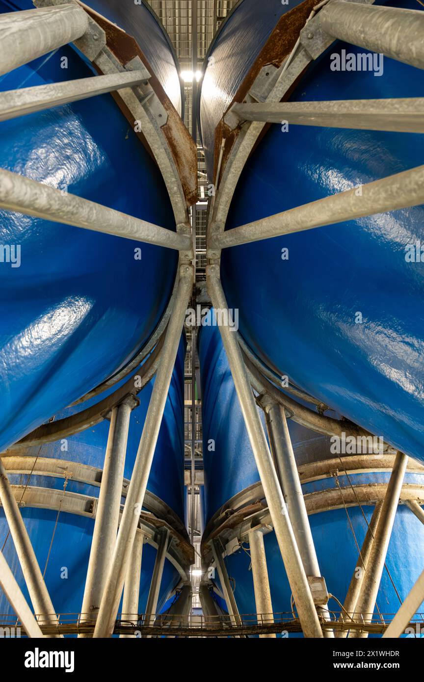 Attrezzature per la lavorazione di ortaggi freschi dopo la raccolta, lo stoccaggio, la cernita, il lavaggio, il taglio, imballaggio, agricoltura nei Paesi Bassi Foto Stock
