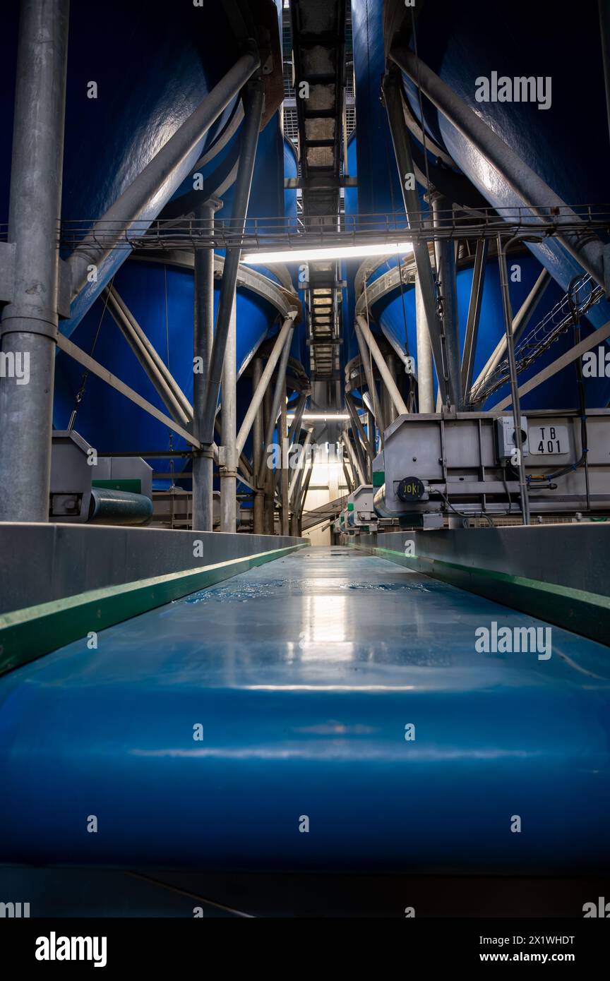 Attrezzature per la lavorazione di ortaggi freschi dopo la raccolta, lo stoccaggio, la cernita, il lavaggio, il taglio, imballaggio, agricoltura nei Paesi Bassi Foto Stock
