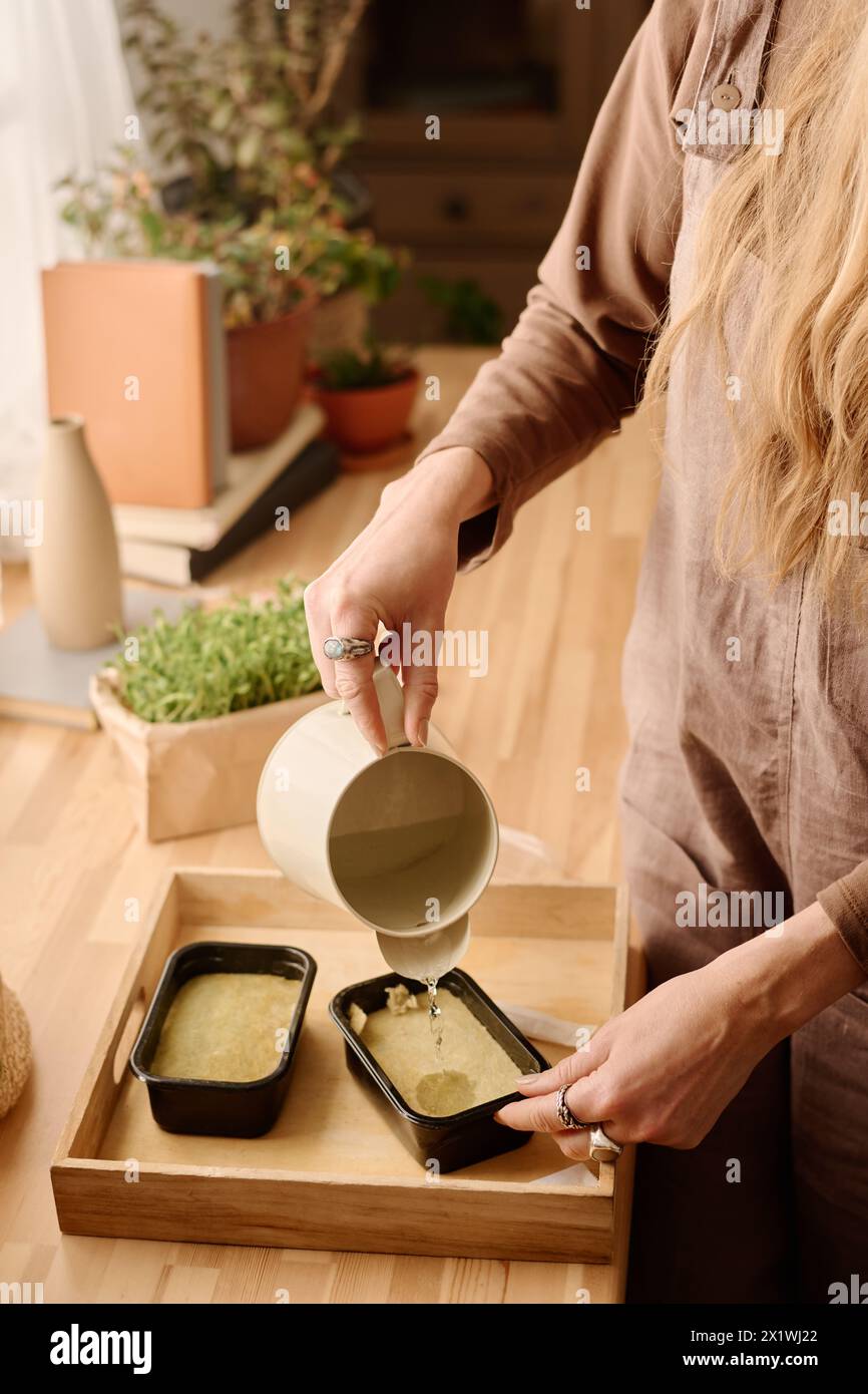 Giovane donna in casalinga di lino marrone che abbeverava semi di grano ricoperti di materiale organico speciale mentre sta accanto al davanzale Foto Stock