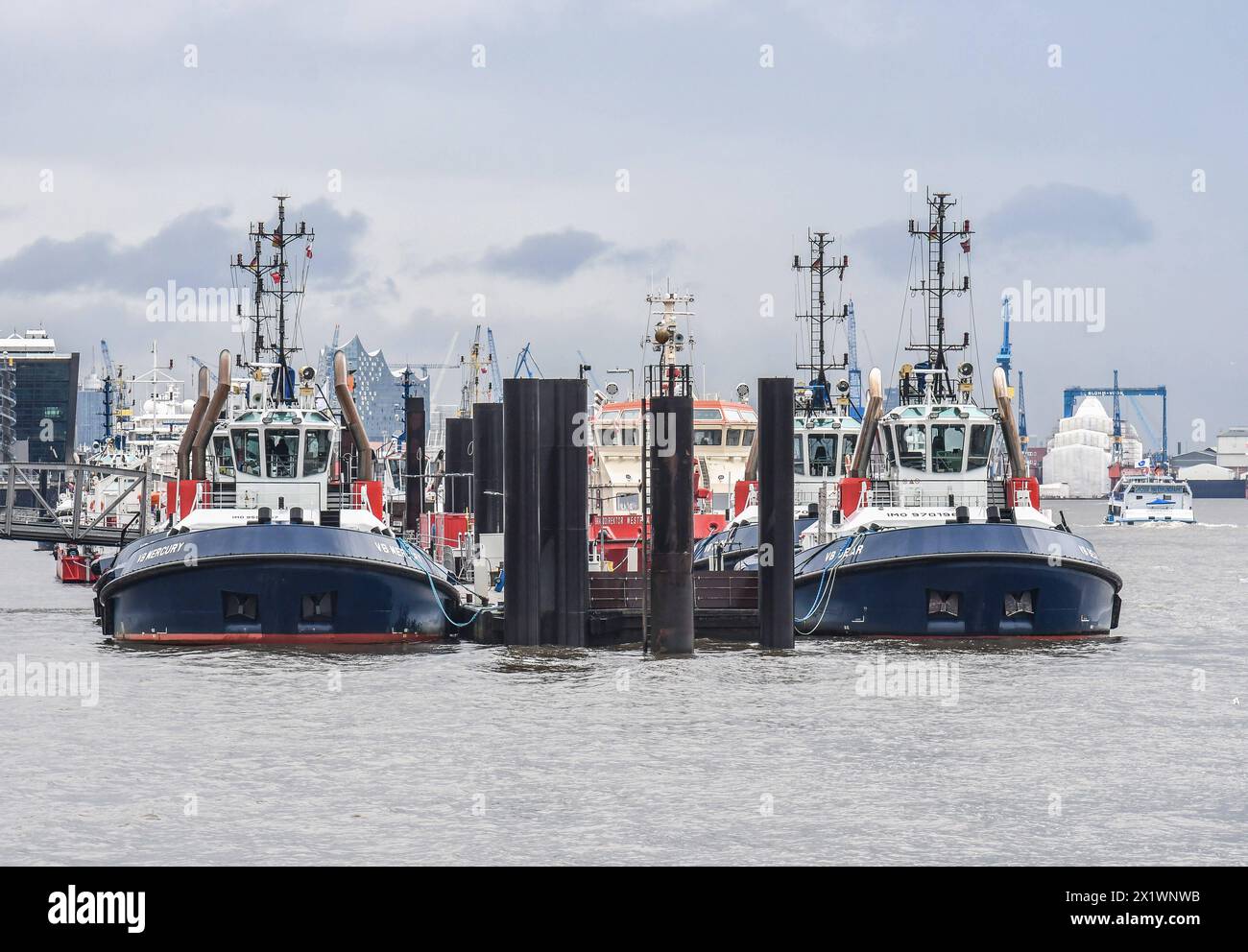 Schlepper liegen vertäut an einem Schlepperpier auf der Elbe. Die Schiffe mit leistungsstarker Antriebsanlage bugsieren einlaufende oder ausfahrende Schiffe in oder aus den Hafenbecken im Hamburger Hafen. *** I rimorchiatori sono ormeggiati in un molo di rimorchiatori sull'Elba le navi con potenti sistemi di propulsione trainano navi in entrata o in uscita nei bacini portuali nel porto di Amburgo Foto Stock