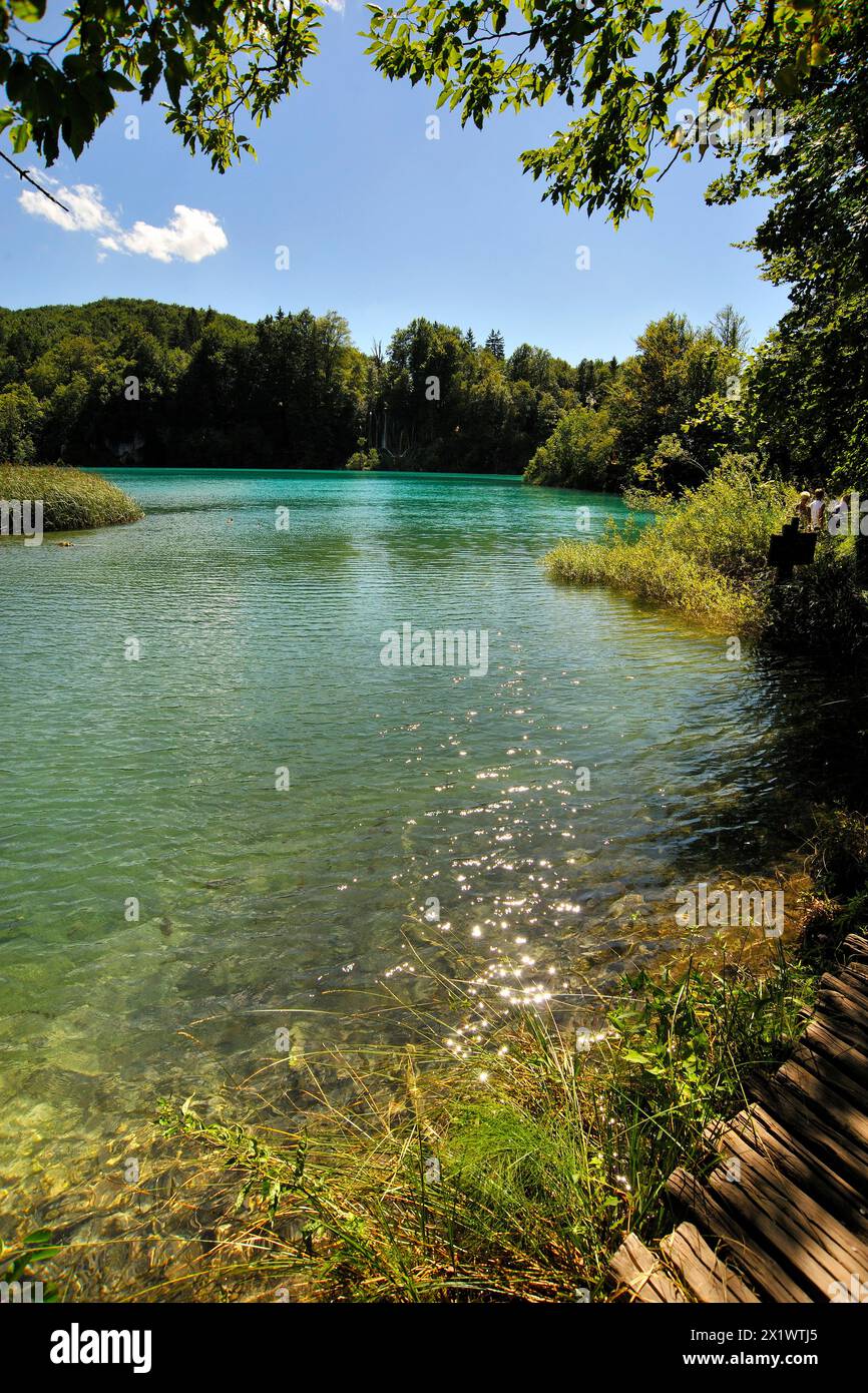 Parco nazionale di Plitvicka Jezera. Croazia. Europa Foto Stock