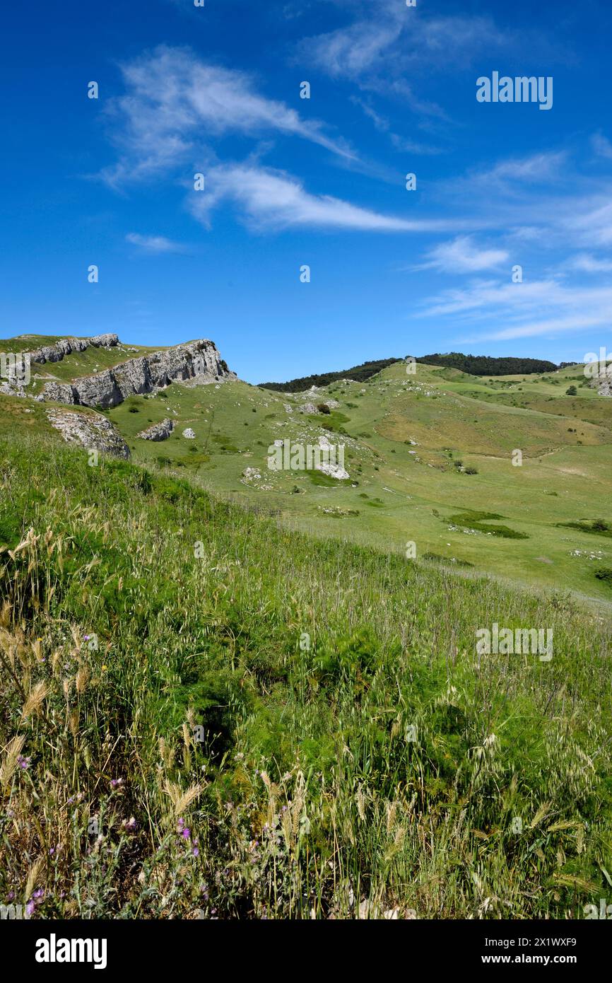 Panorama nei pressi dell'area archeologica di ​​monte Adranone. Sambuca di Sicilia. Sicilia Foto Stock