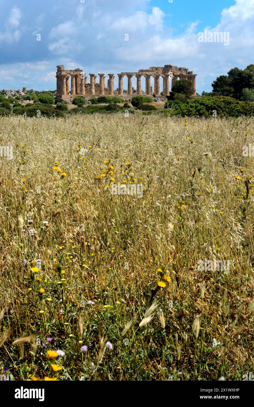 Tempio e. Area archeologica di ​​selinunte. Castelvetrano. Sicilia Foto Stock