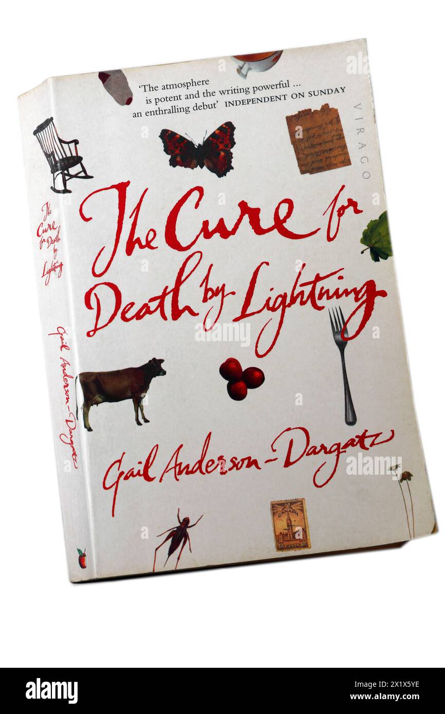 Copertina del libro - The cure for Death di Lightning di Gail Anderson-Dargatz. Installazione di Studio eseguita nel 2024 Foto Stock