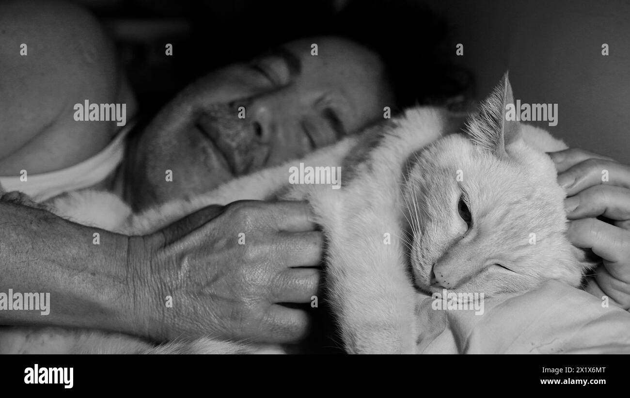 Un uomo addormentato a letto vicino a un gatto. Foto Stock