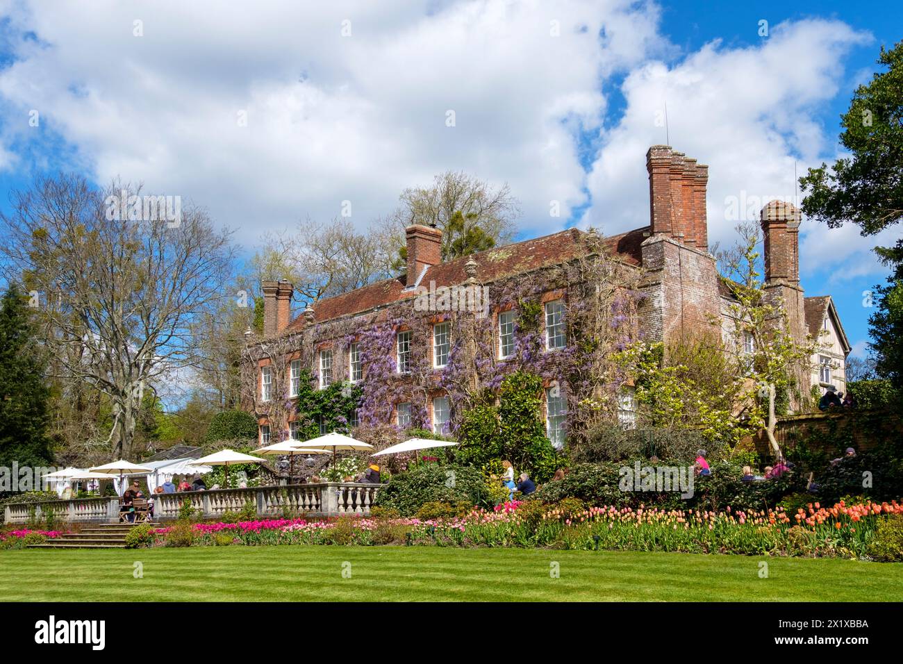 Pashley Manor Garden, tulipani e Manor House, East Sussex. REGNO UNITO Foto Stock