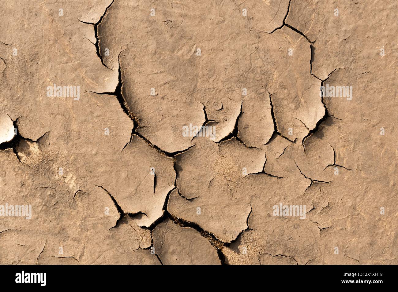 Sfondo di terra asciutto e incrinato. Primo piano della terra incrinata Foto Stock