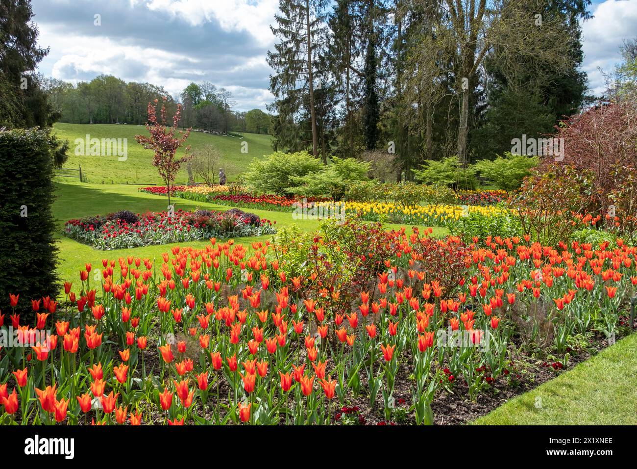 Pashley Manor Garden, tulipani e Manor House, East Sussex. REGNO UNITO Foto Stock
