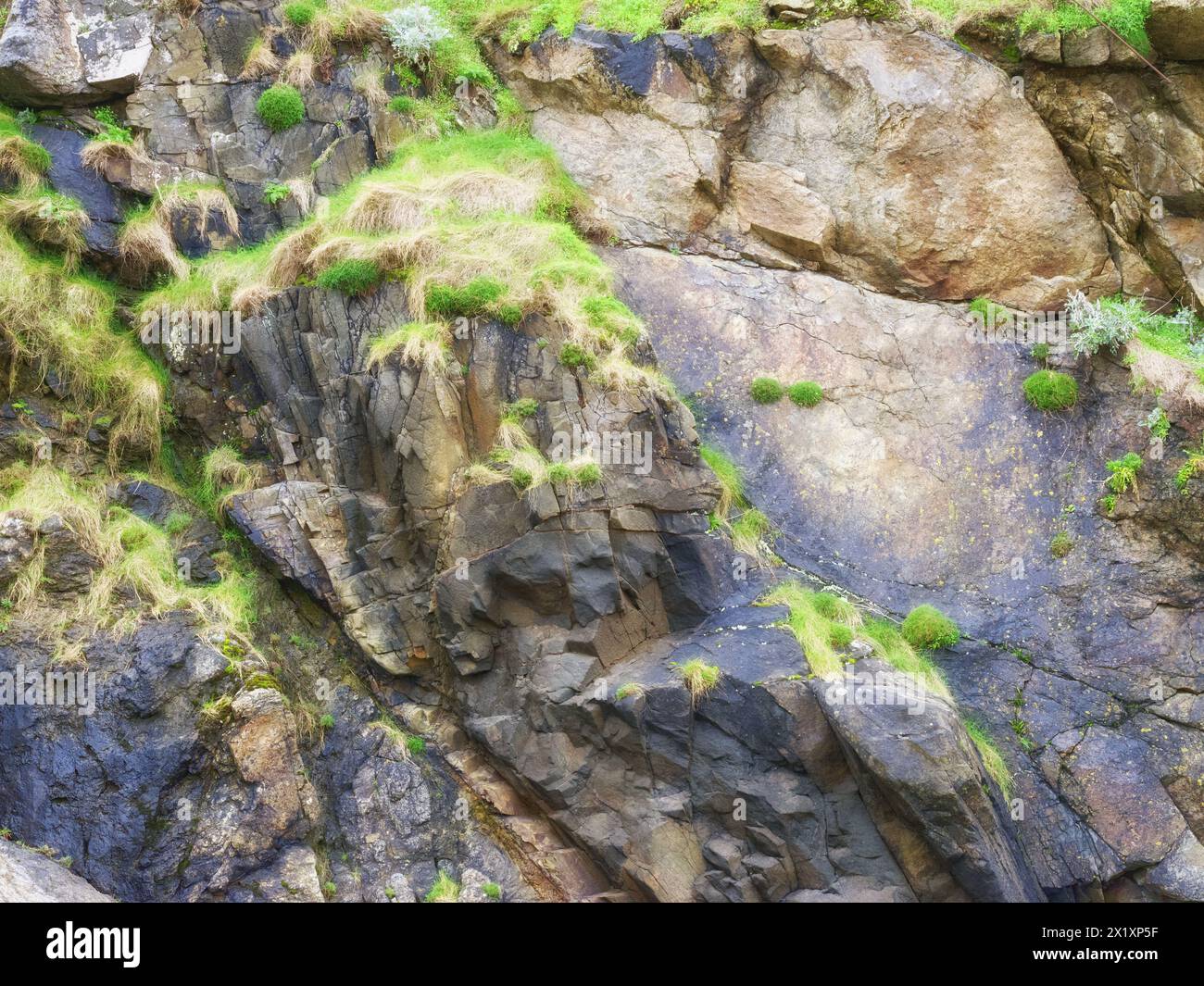 Côte d'Émeraude, Bretagna, Francia. Lungo il sentiero escursionistico costiero della Bretagna (sentiero degli agenti doganali) vicino a Dinard. Foto Stock