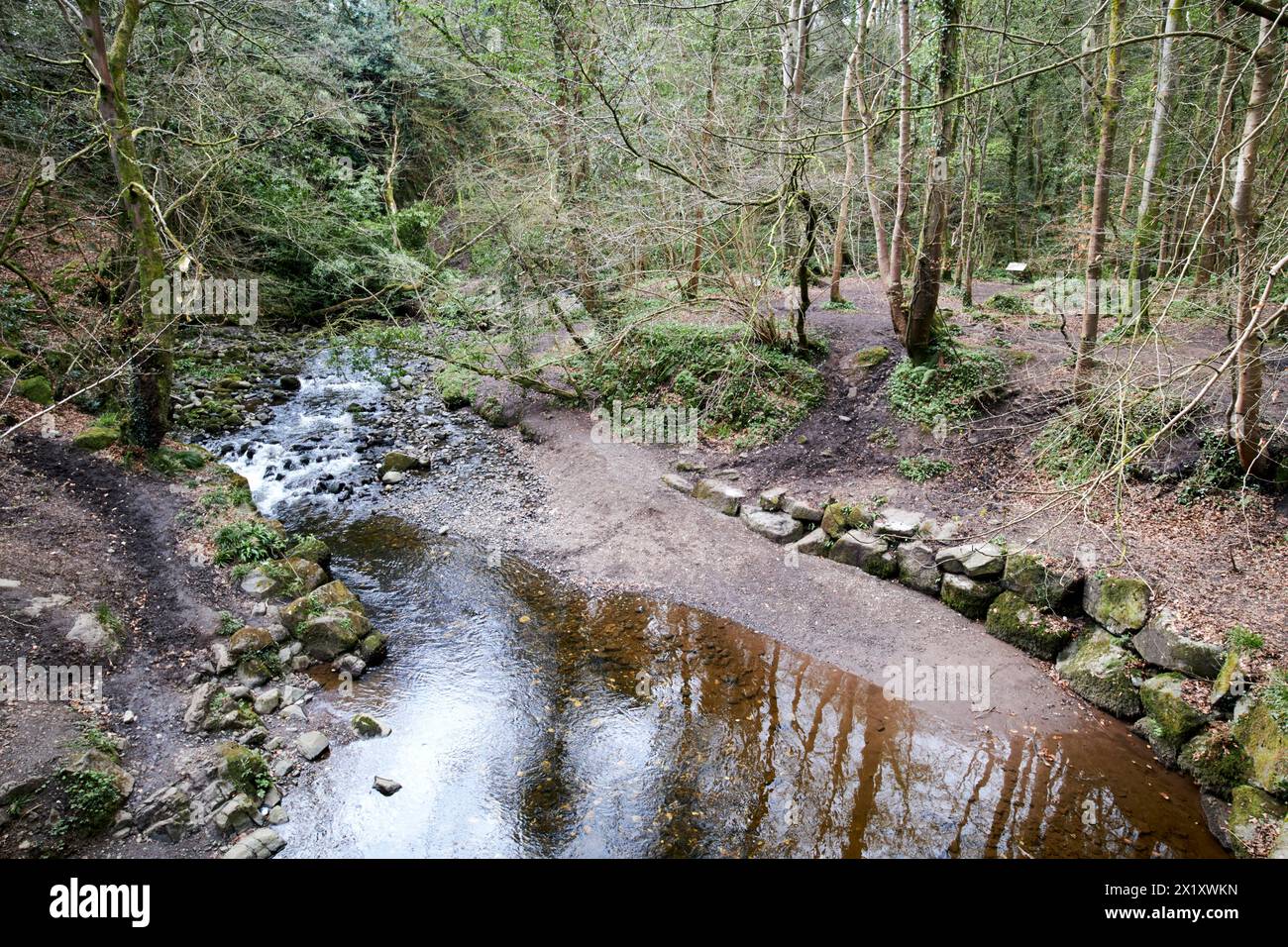 il fiume colin attraversa il parco forestale colin glen ad ovest di belfast, irlanda del nord, regno unito Foto Stock