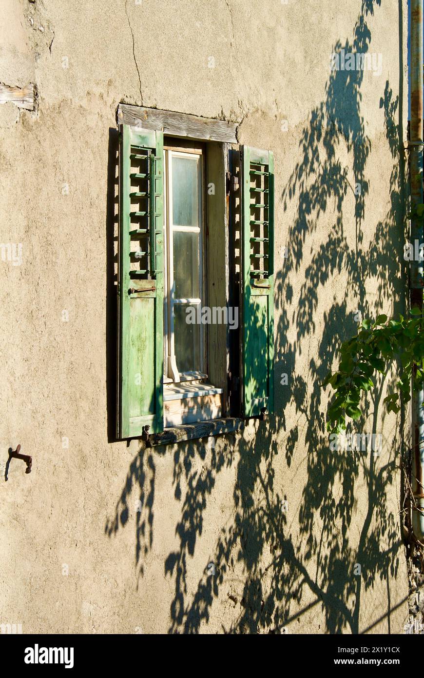 Vecchio edificio in pietra con una finestra con persiane verdi e un'immagine ombra di un albero sul muro. Foto Stock